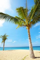 Similar image 7430603