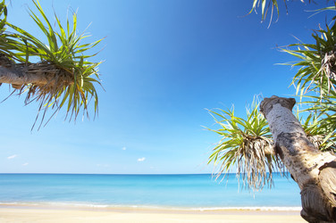 Similar image 7430618