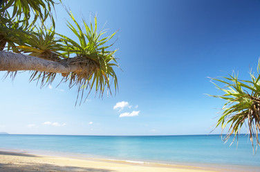 Similar image 7430620