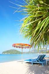 Similar image 7430624