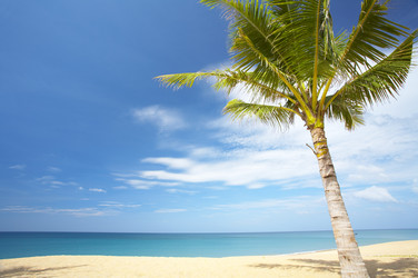 Similar image 7430630