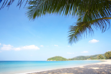 Similar image 7430631