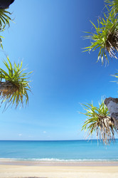 Similar image 7430633