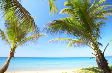 Similar image 7430635