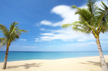 Similar image 7430637