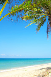 Similar image 7430650