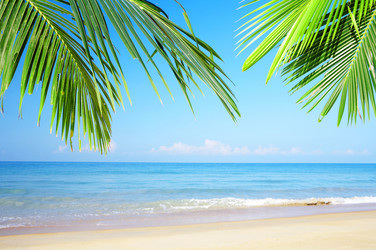 Similar image 7430689