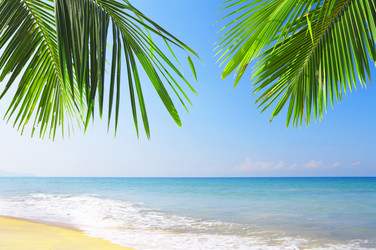 Similar image 7430710