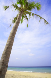 Similar image 7430722