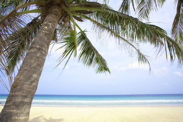 Similar image 7430799