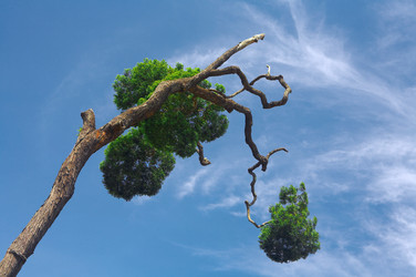 Similar image 7430832