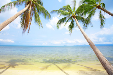 Similar image 7430891