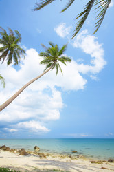 Similar image 7430906