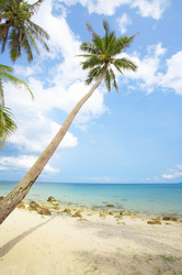 Similar image 7430909