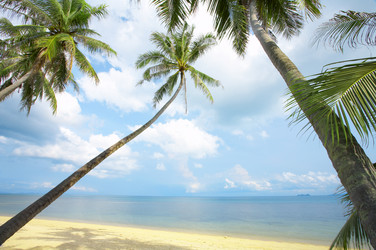 Similar image 7430926