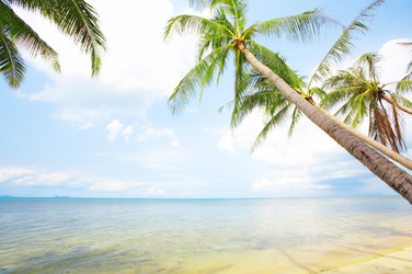 Similar image 7430935