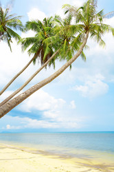 Similar image 7430939