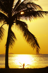 Similar image 7430943