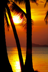 Similar image 7430949