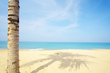 Similar image 7430962