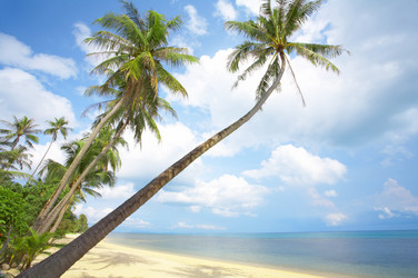 Similar image 7430969