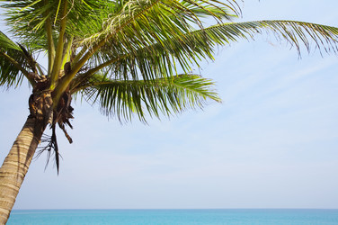 Similar image 7430977