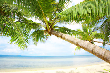 Similar image 7430981