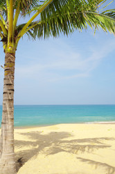 Similar image 7430985