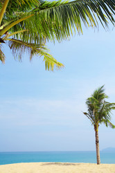 Similar image 7430993