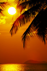 Similar image 7431013