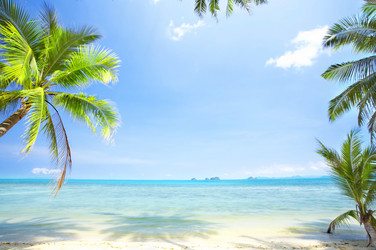 Similar image 7431014