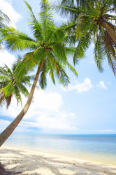 Similar image 7431024