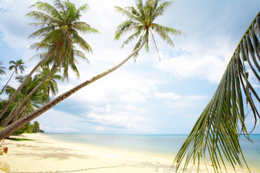 Similar image 7431027