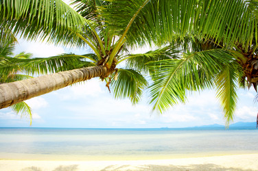 Similar image 7431054