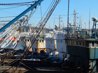 Similar image 7431071