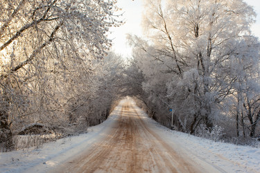 Similar image 7431081