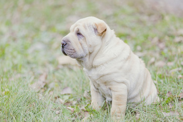 Similar image 7431089