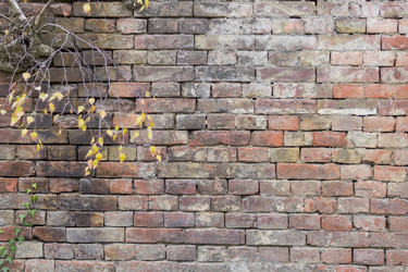 Similar image 7431091