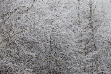 Similar image 7431104