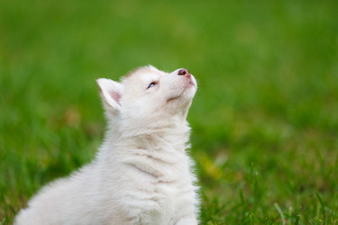 Similar image 7431107