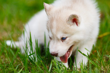 Similar image 7431110