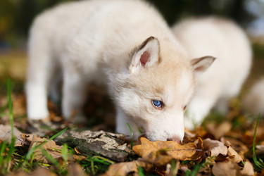 Similar image 7431118