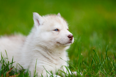 Similar image 7431123