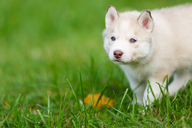 Similar image 7431127