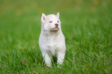 Similar image 7431129