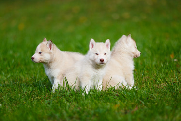 Similar image 7431131