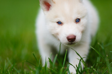 Similar image 7431133