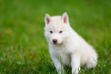 Similar image 7431134