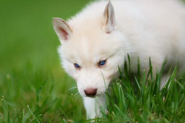 Similar image 7431141