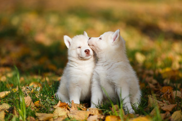 Similar image 7431146